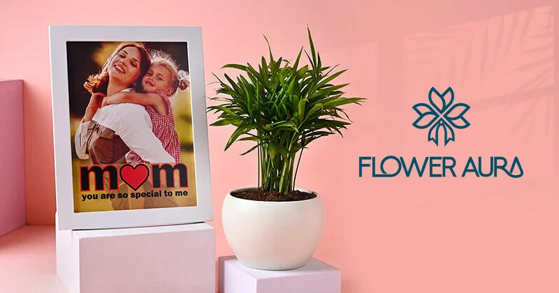 FlowerAura's Mother's Day Collection Celebrates Every Mom's Unique Personality