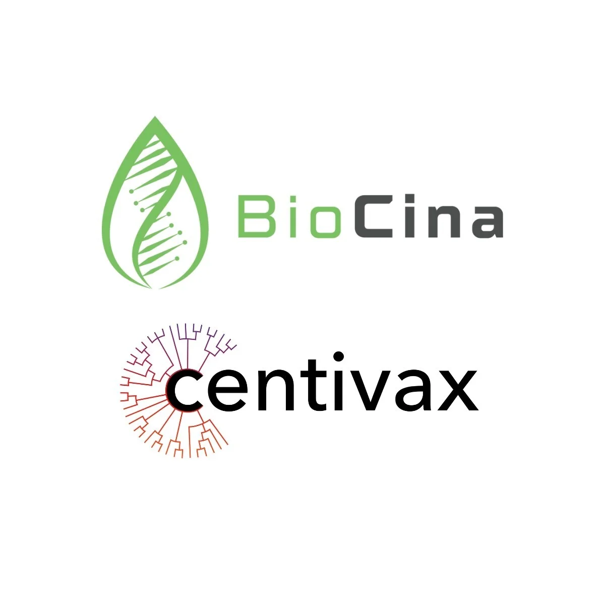 Centivax Selects Global CDMO BioCina to Initiate cGMP Manufacturing of Revolutionary Universal Influenza Vaccine