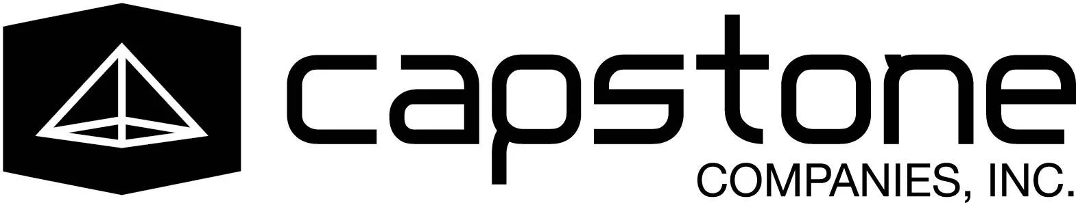 Brian Rosen, Commercial Strategy Senior Executive, Appointed as Director of Capstone Companies, Inc.