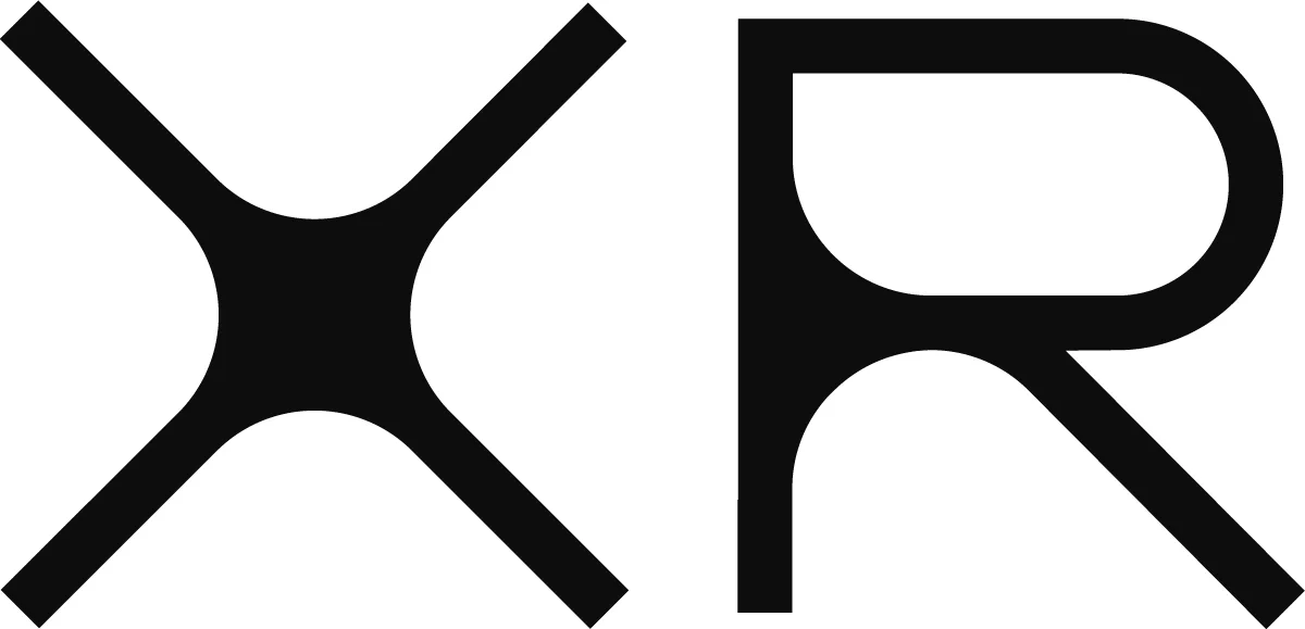 XR Names Michael McGuire President of XR Pay
