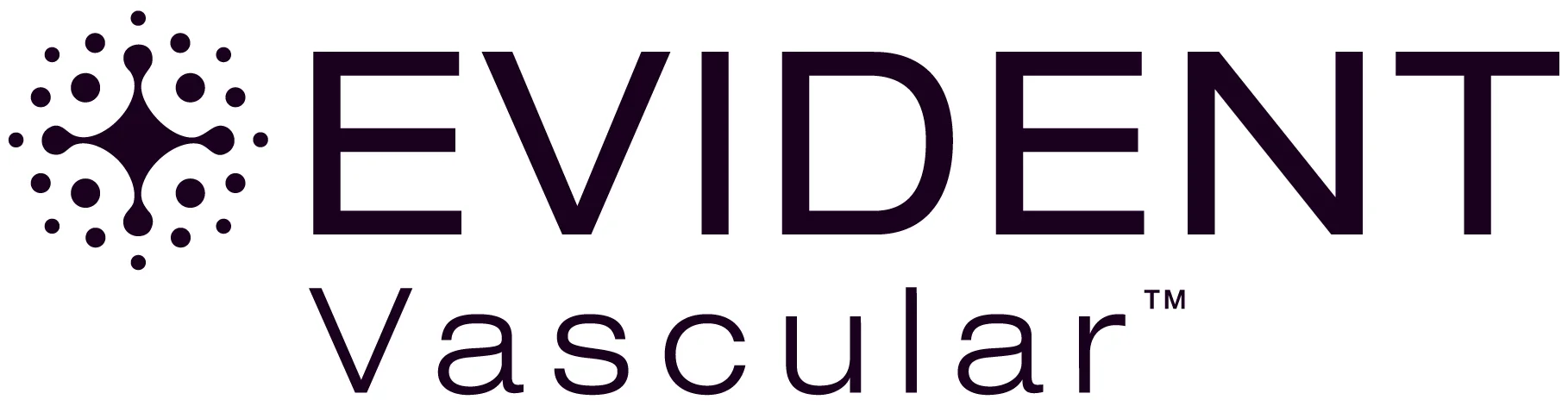 Evident Vascular Raises Series B Financing to Advance AI-Powered Intravascular Ultrasound Platform Technology