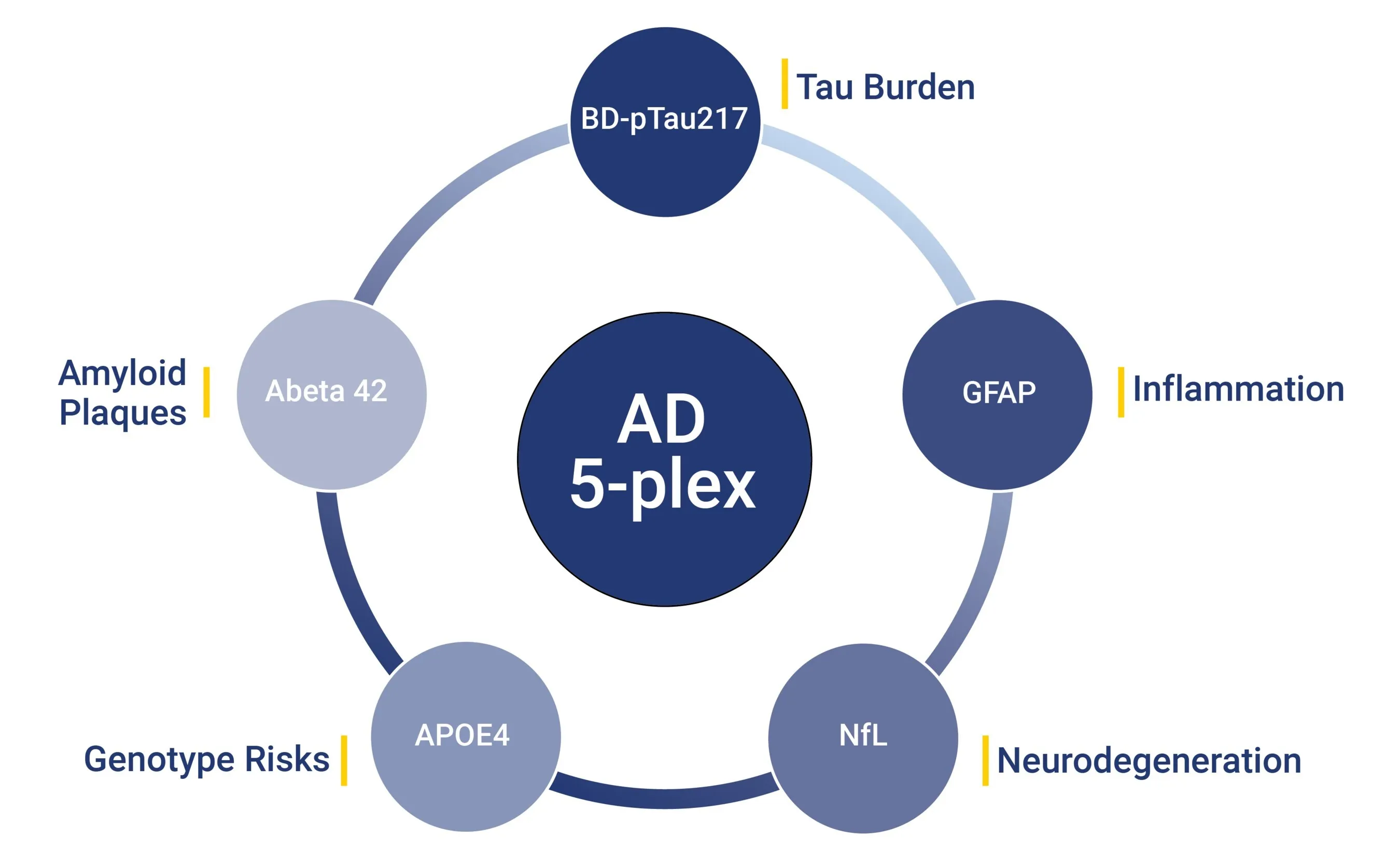 Alamar Biosciences Announces Launch of NULISAqpcr™ AD 5-plex Assay, Advancing Blood Based Biomarker Detection in Alzheimer's Disease Research
