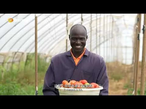 Zoomlion's Agricultural Machinery Gains Ground Across Kenya's Fields