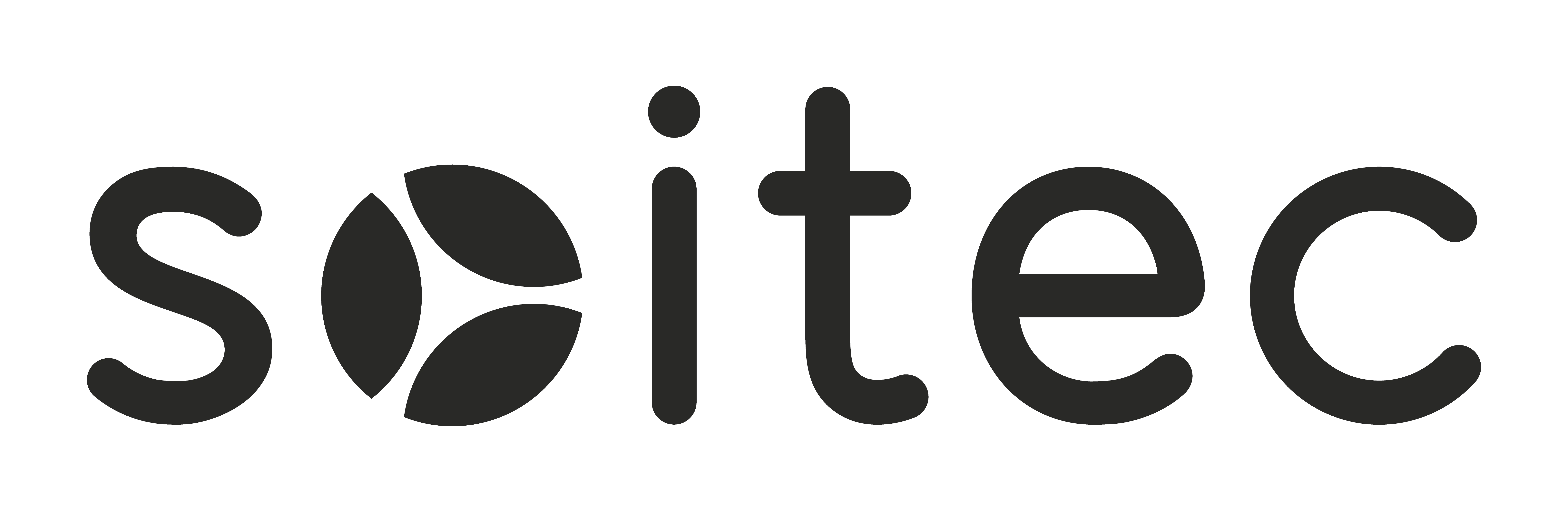 SOITEC - INFORMATION RELATING TO THE TOTAL NUMBER OF VOTING RIGHTS AND SHARES FORMING THE SHARE CAPITAL